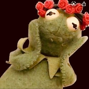 Meet your Posher, Gracie